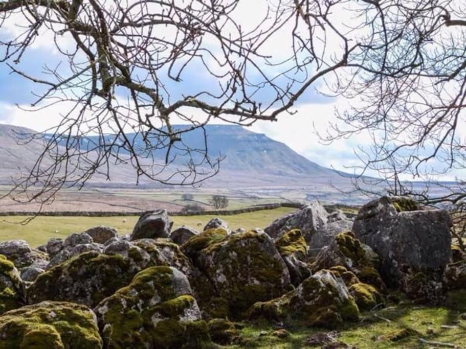 Westside Cottage: Yorkshire Dales Pet-Friendly Retreat Newby  Exterior photo